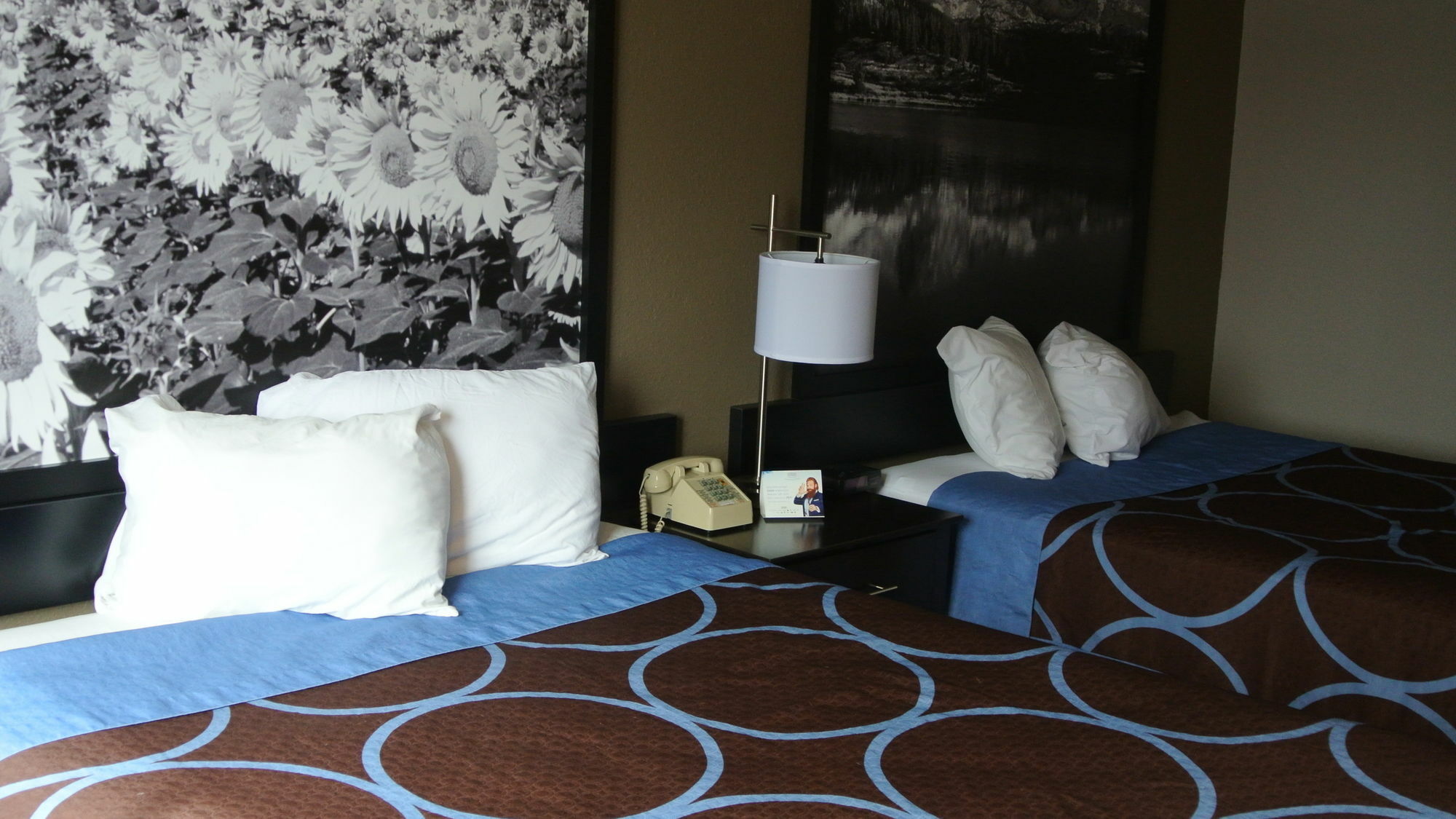 Motel Super 8 By Wyndham Cortez/mesa Area